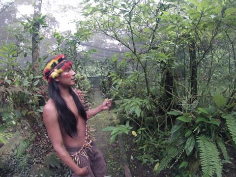 Full Day Jungle at Puyo Ecuador